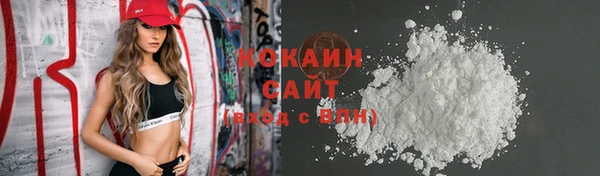 гашик Арсеньев