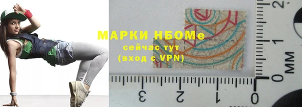 гашик Арсеньев