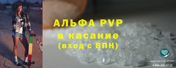 гашик Арсеньев
