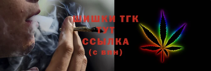 гашик Арсеньев