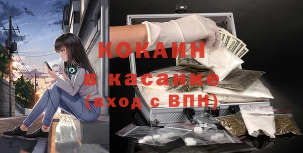 гашик Арсеньев