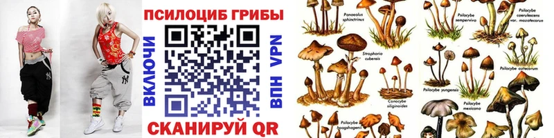 Галлюциногенные грибы ЛСД  Благодарный 